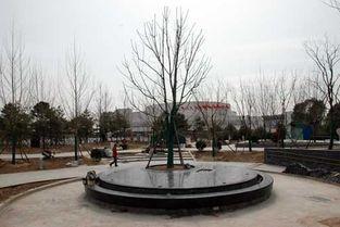 梦之园,梦幻仙境的奇幻之旅